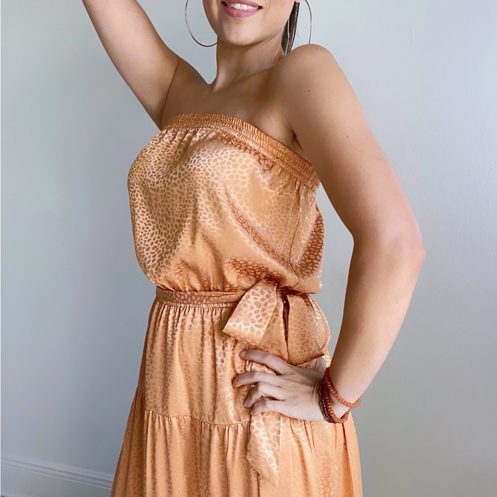 Naked Zebra Maxi Tube Dress